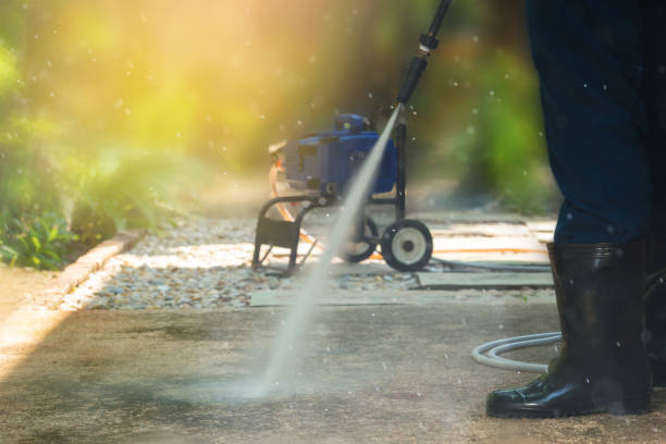 Best Driveway Pressure Washing  in Flowery Branch, GA